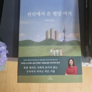 (도서)런던에서 온 평양여자