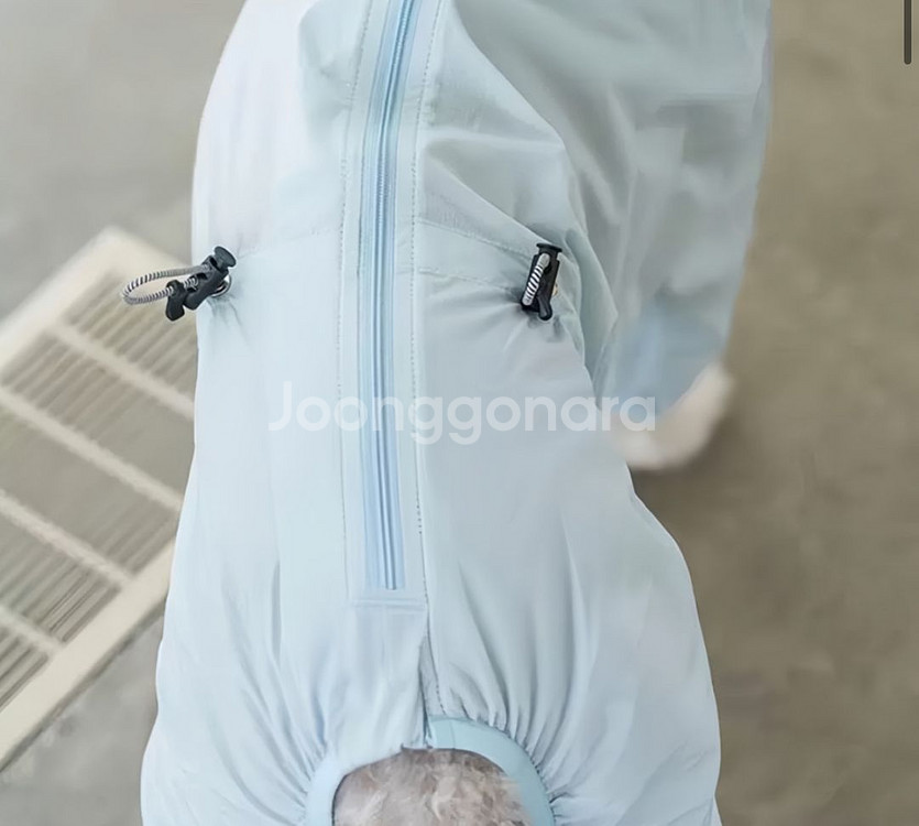 이탈리안 그레이하운드 옷 우비 원드브레이커 ig옷--2
