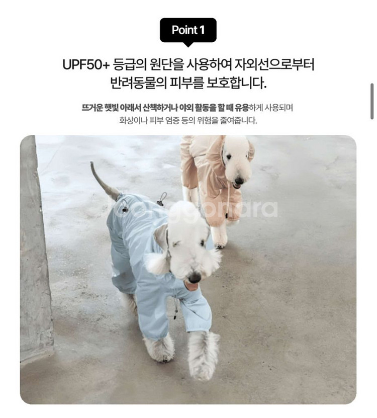 이탈리안 그레이하운드 옷 우비 원드브레이커 ig옷--3