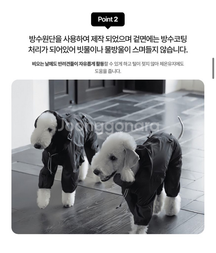 이탈리안 그레이하운드 옷 우비 원드브레이커 ig옷--4