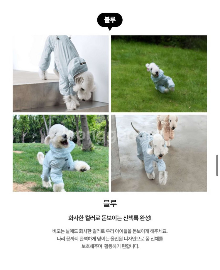 이탈리안 그레이하운드 옷 우비 원드브레이커 ig옷--8
