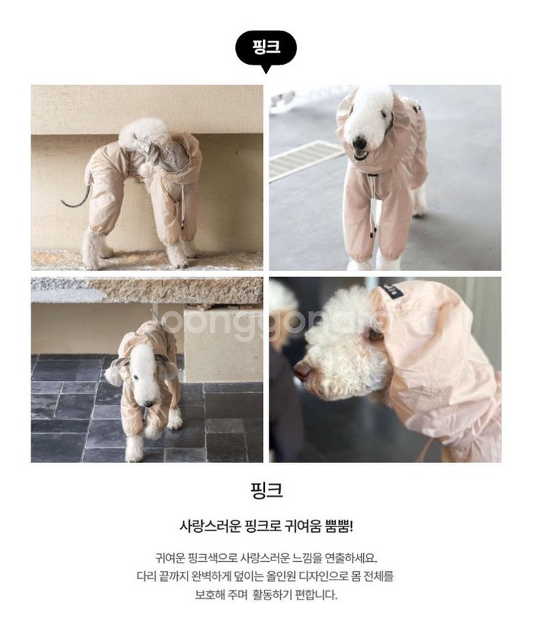 이탈리안 그레이하운드 옷 우비 원드브레이커 ig옷--7