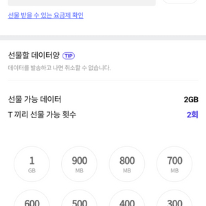 SK T끼리 데이터 2GB