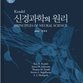 신경과학의 원리 I kandel 있으신 분