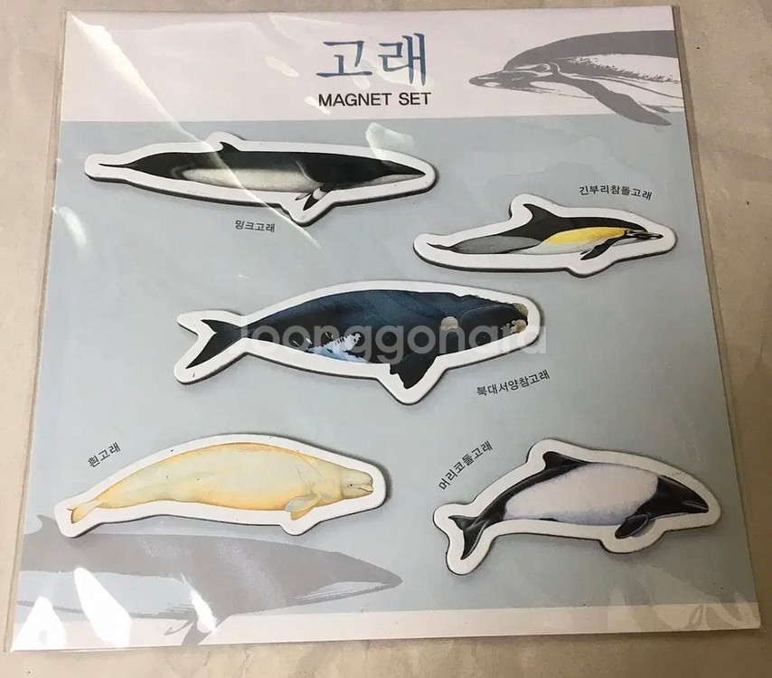 산리오 마이멜로디 쿠로미 숨바꼭질 알라딘굿즈 고래 무민--3