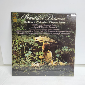 Beautiful Dreamer lp