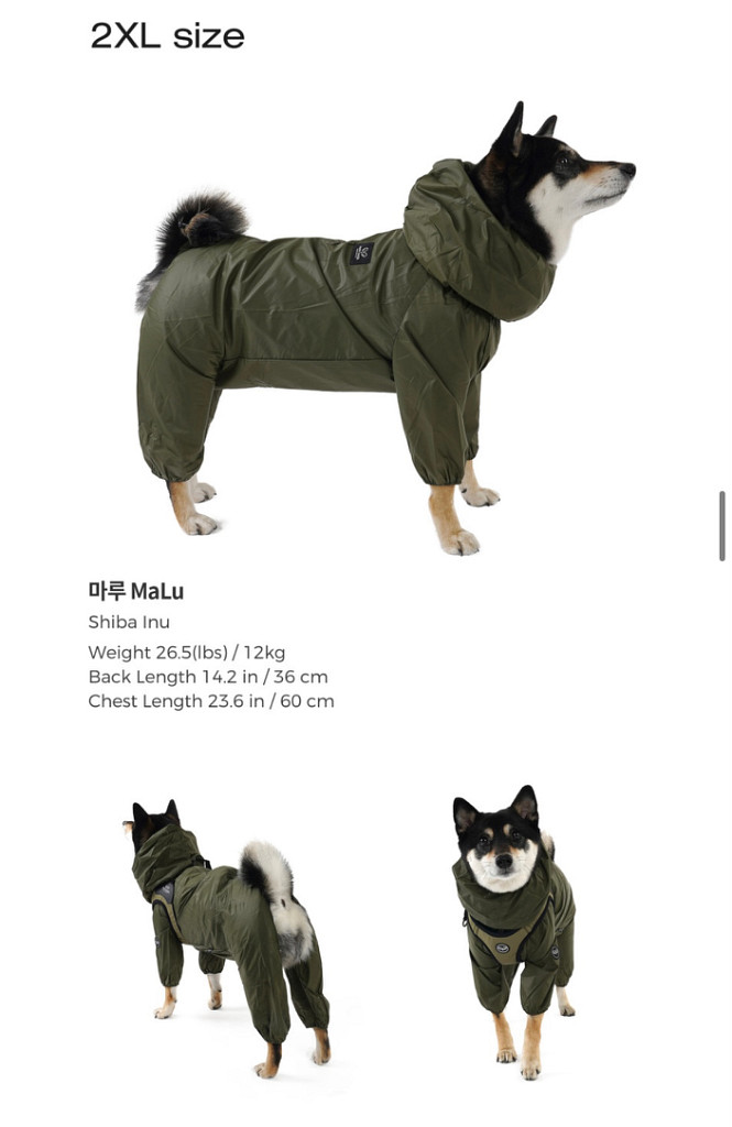 퍼피엔젤 강아지 우비 비옷 2XL--5