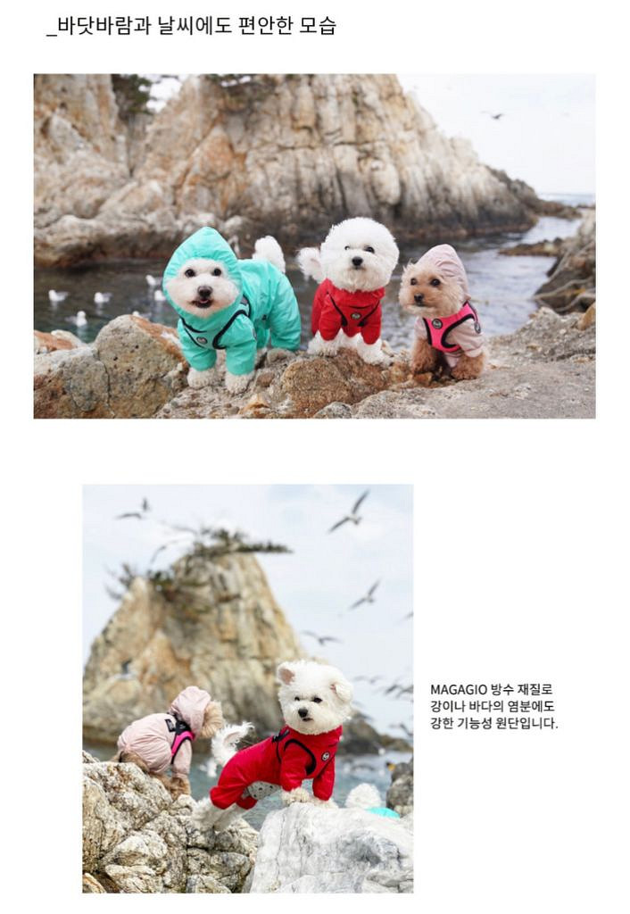 퍼피엔젤 강아지 우비 비옷 2XL--4