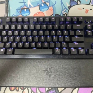 레이저 헌츠맨 v3 tkl