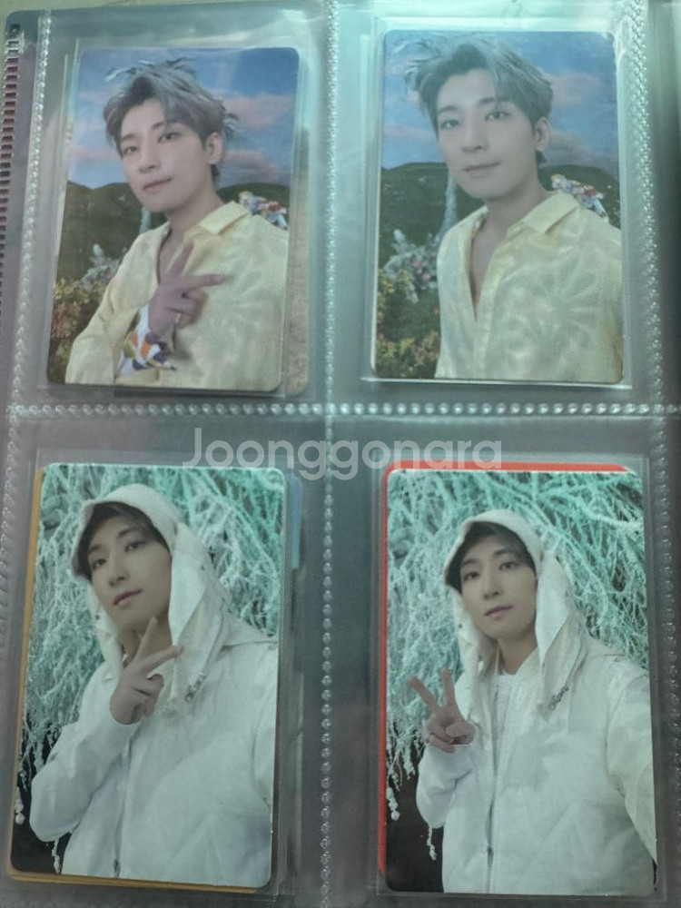 세븐틴 원우 포카 양도--1
