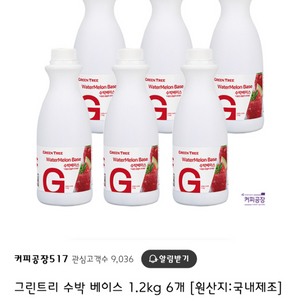 그린트리 수박베이스 1.2kg -2개(카페소스)