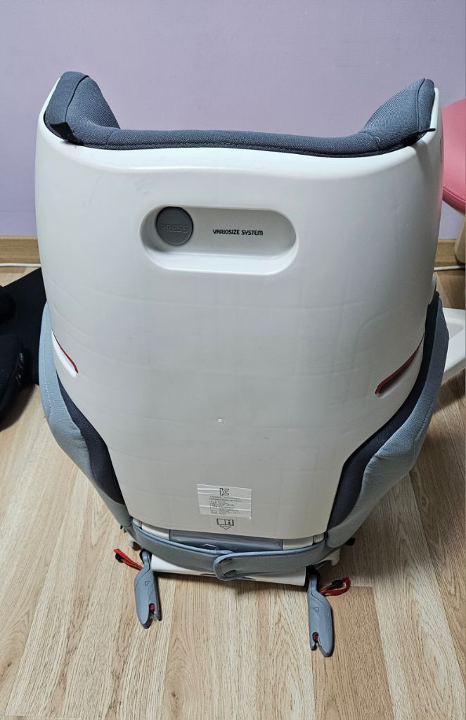 콩코드카시트--1