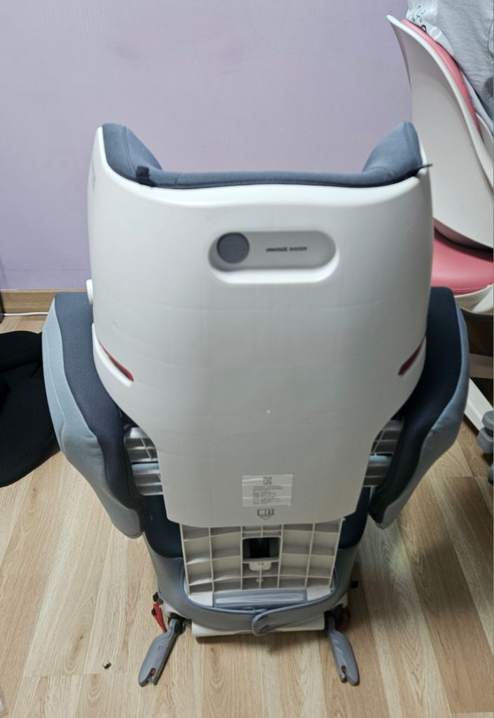 콩코드카시트--3