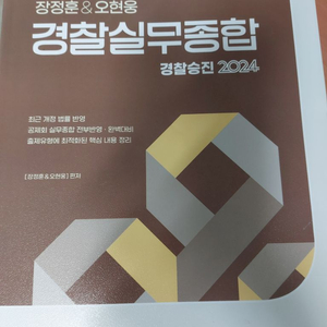 경찰 실무종합