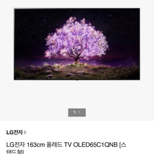 lg oled 65인치 2022년식