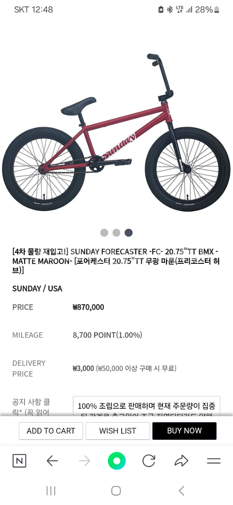 선데이 포어케스터--1