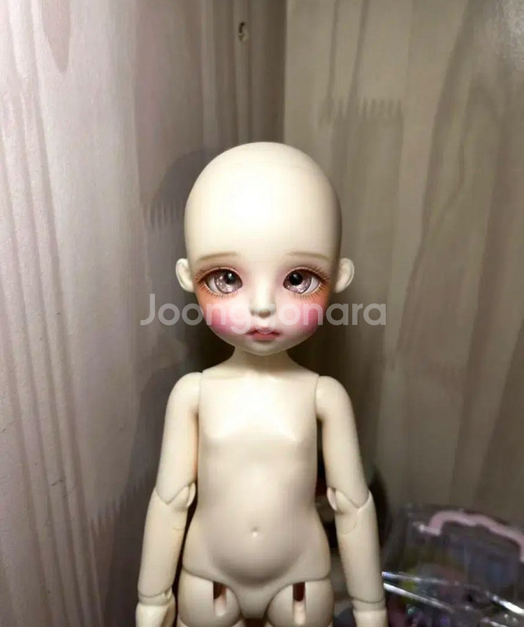 구체관절인형 구관 리나슈슈 데이지 일괄 판매 물포--3