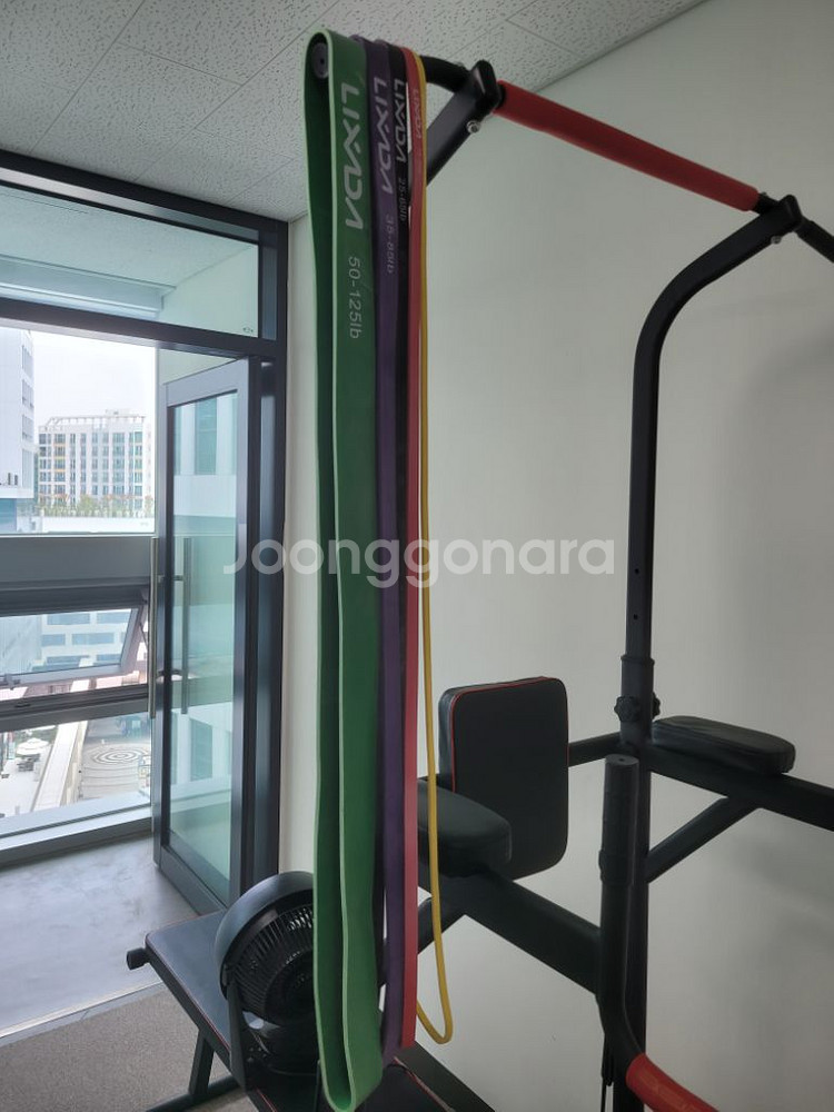 치닝디핑 벤츠프레스 철봉 풀업 턱걸이기구 RS-519--3