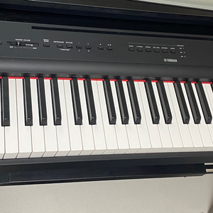 Yamaha P-125a 팝니다!