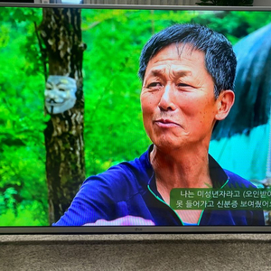 LG 49인치 LED TV 15년 17만