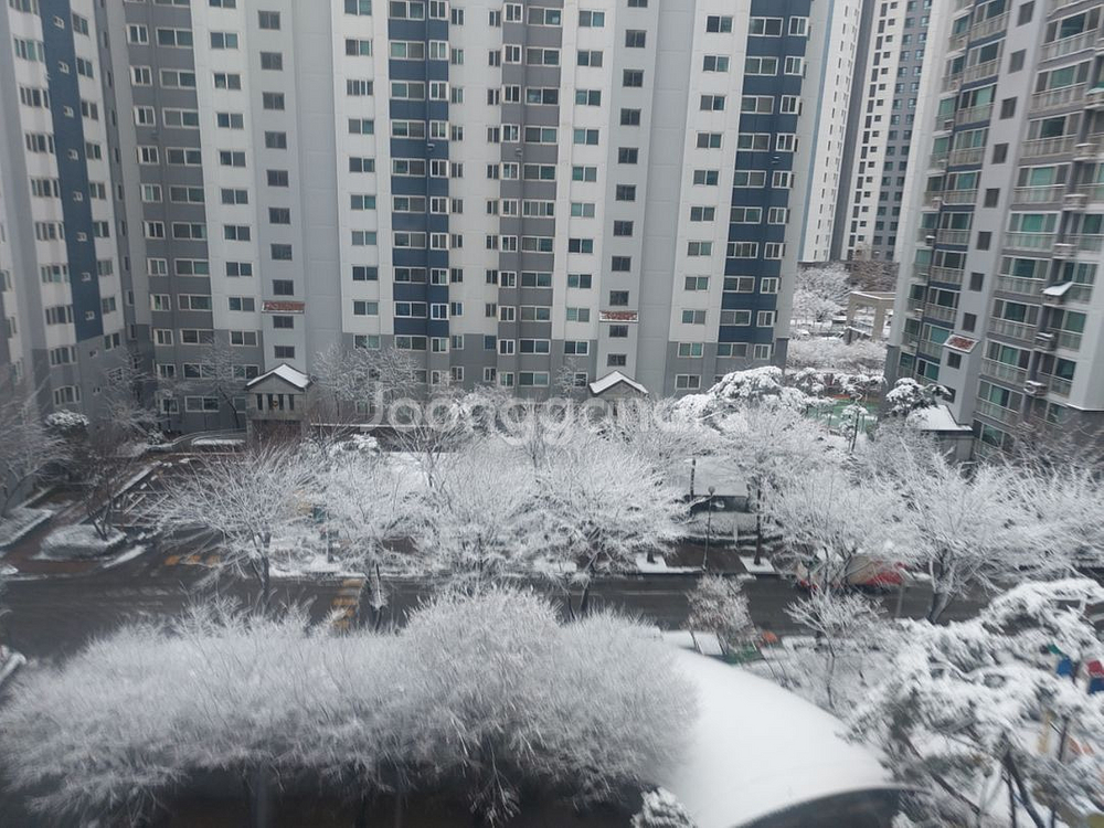 중고만화 책장 만화카페 책장 만화방 책장 중고책장 도--9