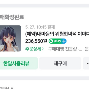 야마다안나 레진피규어 양도