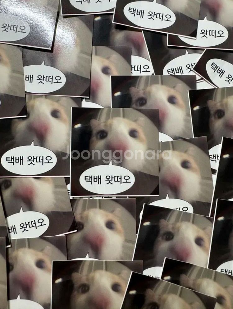 고양이 도무송 덤 선물 도무송 마감용 뉴진스아이브제베원--4