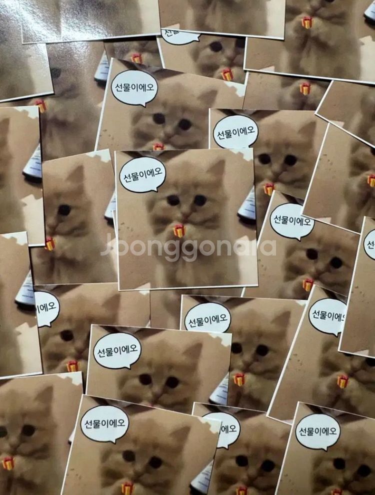 고양이 도무송 덤 선물 도무송 마감용 뉴진스아이브제베원--3