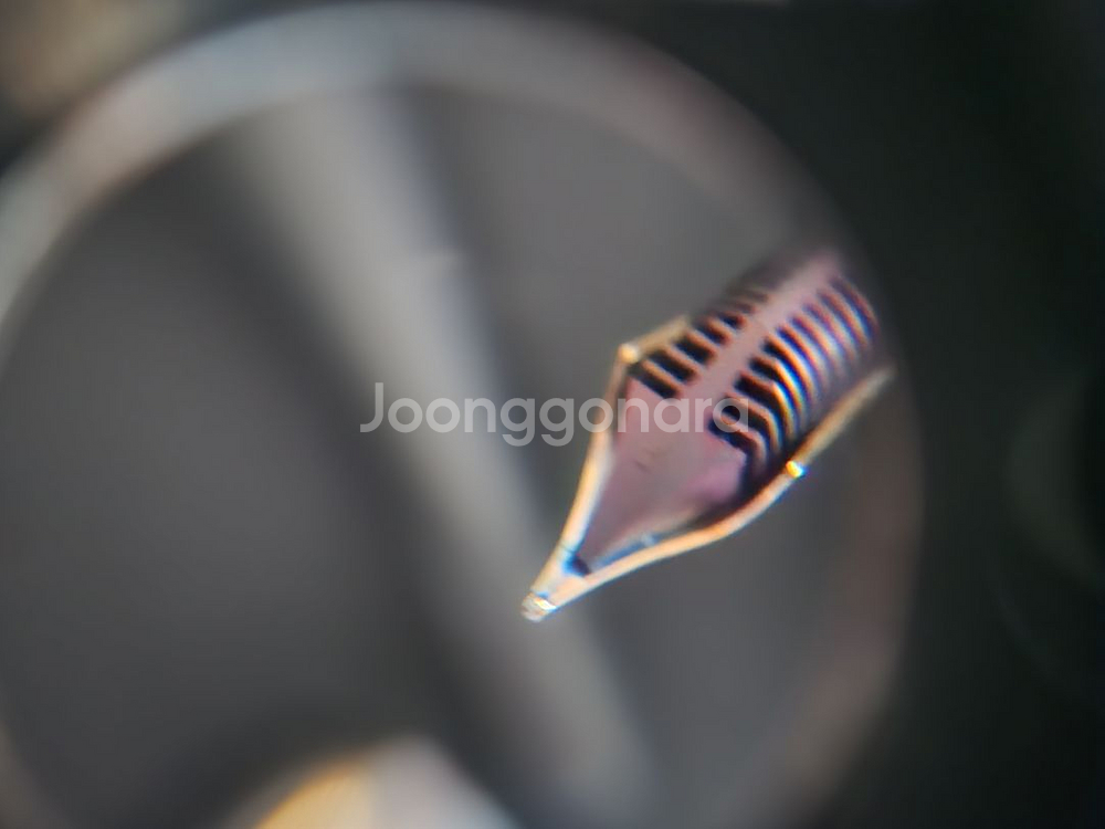 오로라 88 스노우블라썸 f닙 만년필--5
