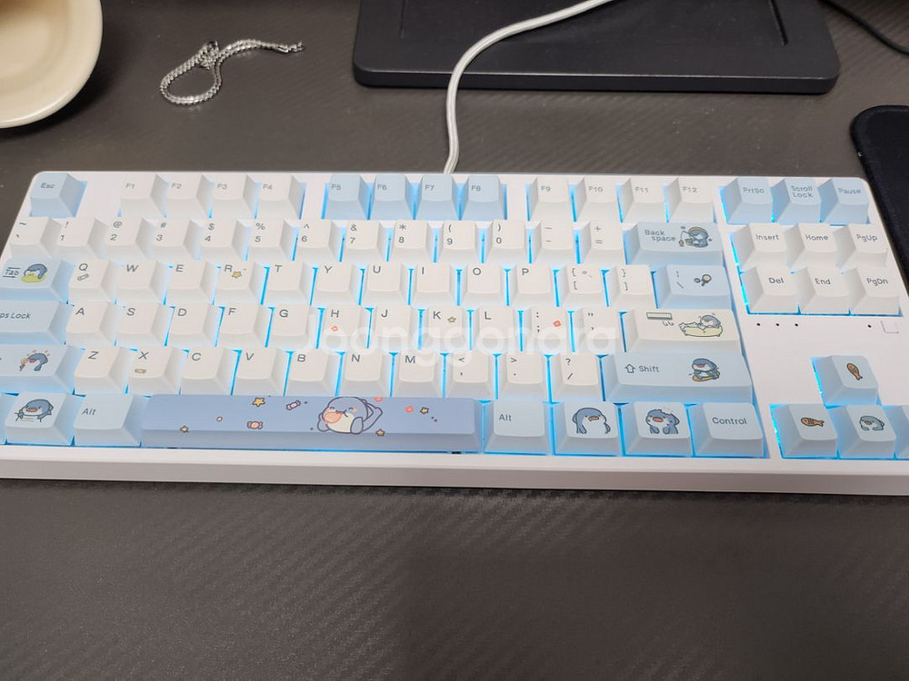 KN01 RGB 화이트 45g 팝니다--1