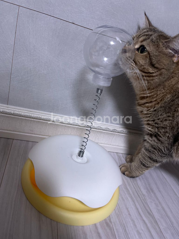 고양이 장난감--1