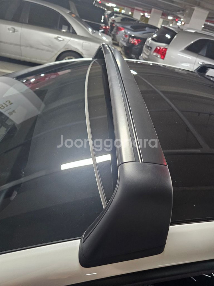 툴레 자전거 캐리어, 테슬라 모델3 정품 가로바(판완)--2