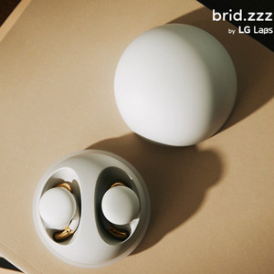 brid.zzz 미개봉 2대