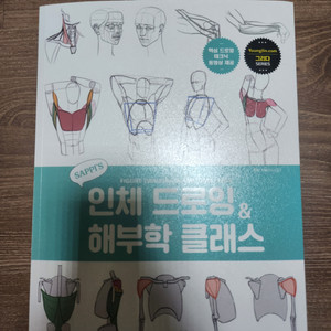 새삐의 인체 드로잉 해부학 클래스 그림 작법서 책 판매