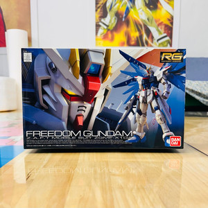 RG FREEDOM GUNDAM