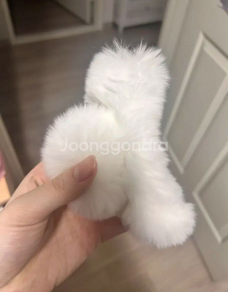 하얀 토끼털 집게삔--1