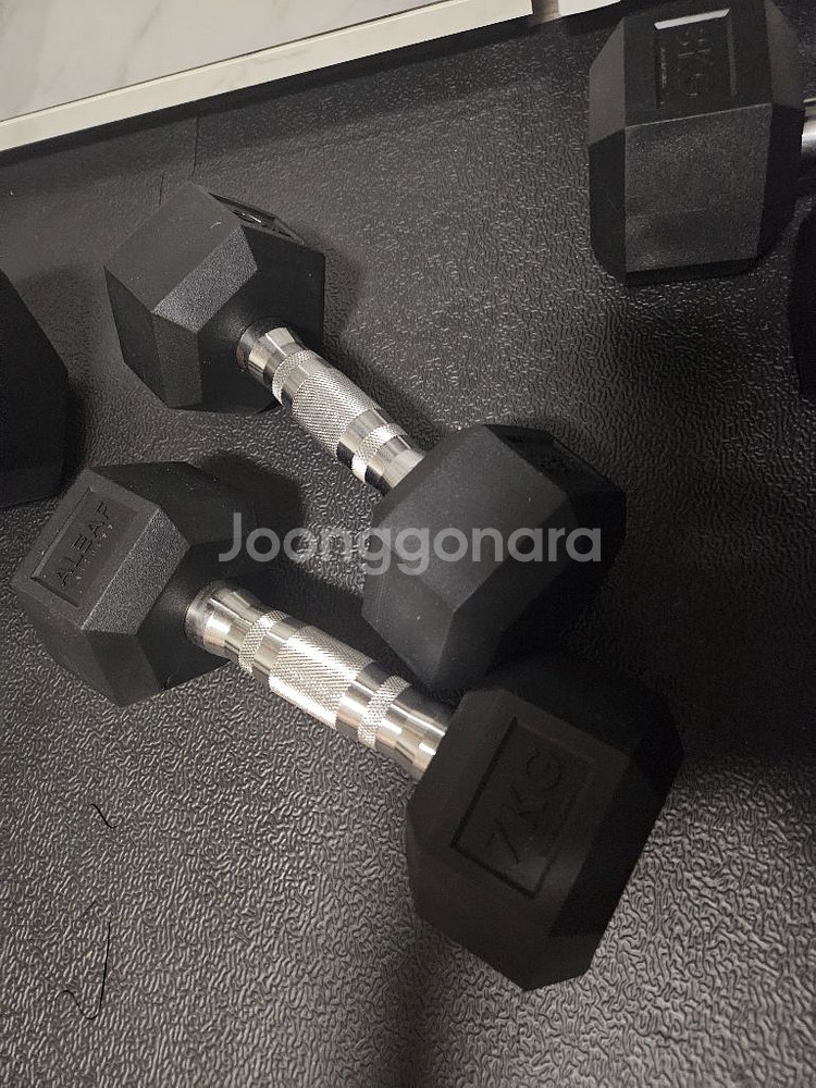 홈스 3대 헬스기구 덤벨 일괄판매합니다--4