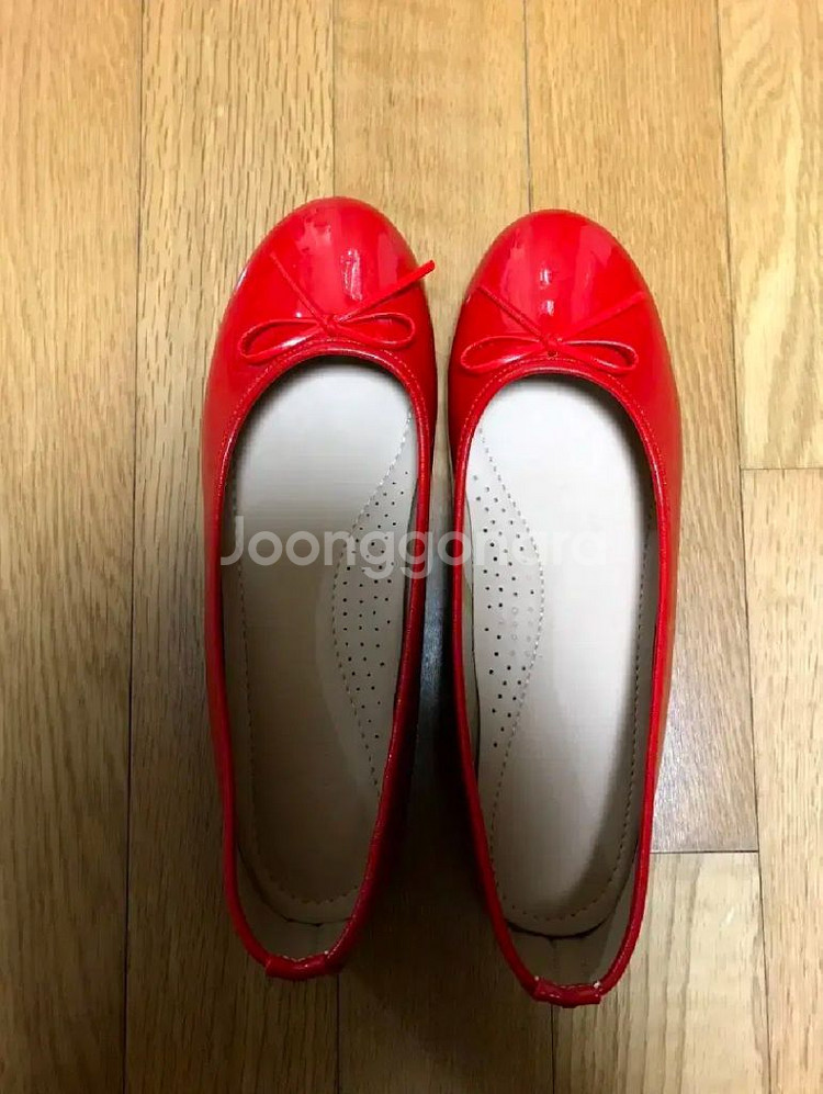 졸업사진 안녕 자두야 대여--8