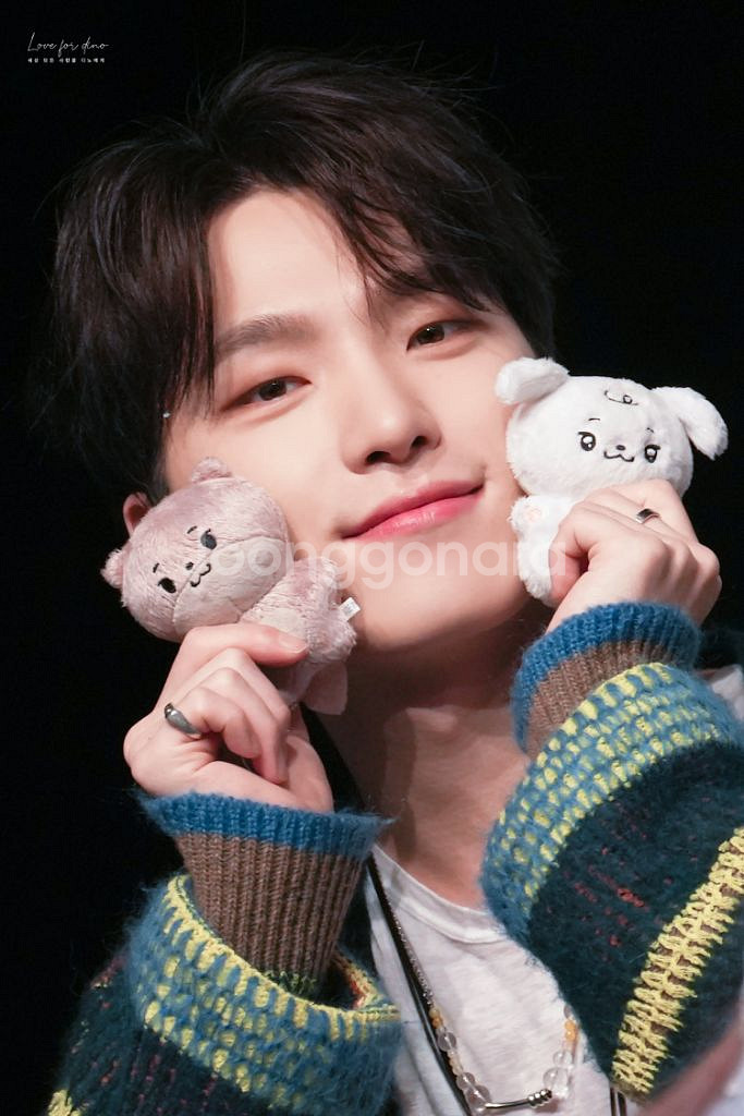 세븐틴 디노 인형 당찬뭉이 입양증 세트 판매 당찬수달--1