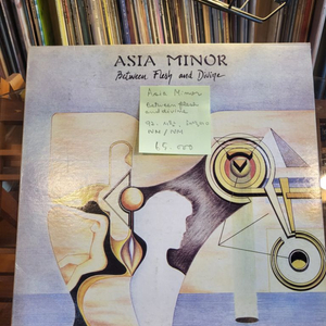 Asia Minor.92.시완.민트급lp