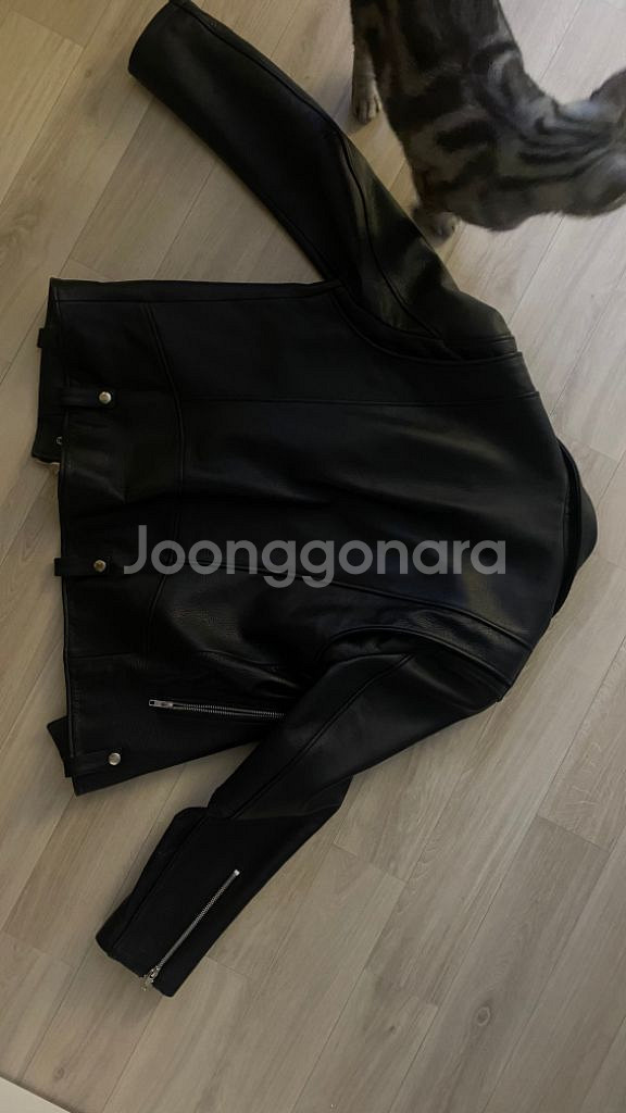 로파이 라이더자켓 xl 소가죽 팝니다--3