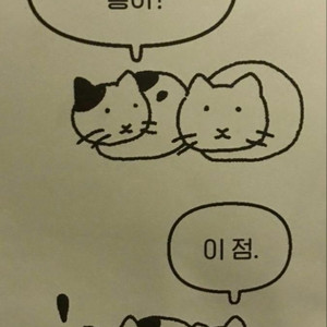 사진합성