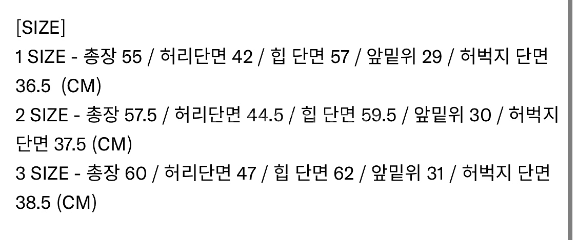 인세인개러지 버뮤다 팬츠--1