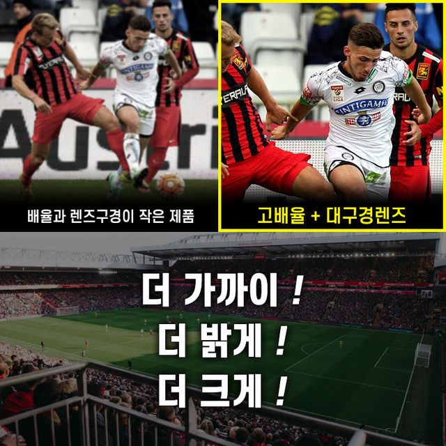 새제품 고배율 쌍안경 새조류 자연관측 택배비포함--3