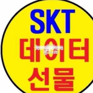 skt데이터 2기가 팝니다(skt데이타 선물하기)