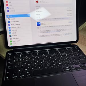 아이패드 프로 11인치 M4 256gb + 매직키보드