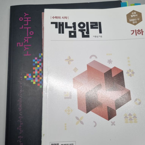 기하 개념원리/생각의 질서