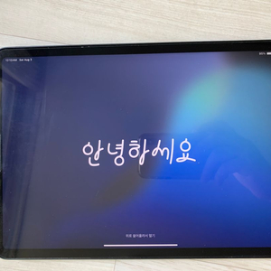 APPLE 2021 iPad Pro(M1) 11 3세대