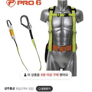 PRO 상체식 안전벨트 안전그네 TA-012-6