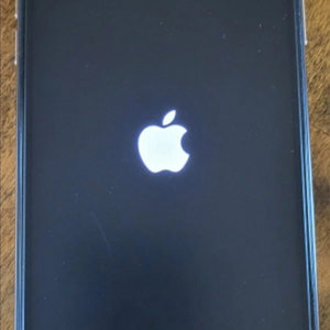 a급 아이폰Xs max 256 홍콩판 듀얼심